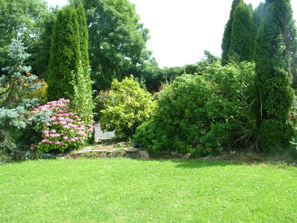 Quarry Ridge B&B Carlow Exterior foto